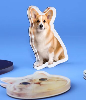هدية سعيدة تصنيع مخصص تصميم حيوان أليف أكريليك مغناطيس ثلاجة لطيف أنيمي تخصيص ملصق بلاستيكي هولوغرافي